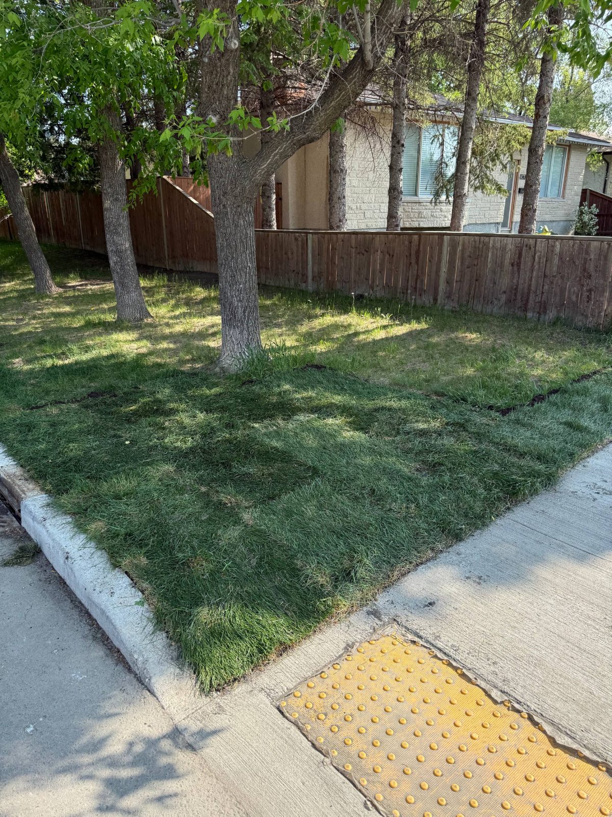 After: Landscaping