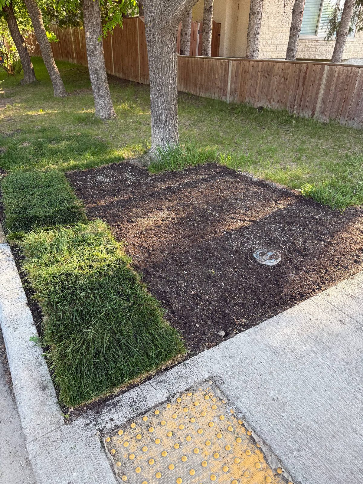 Before: Landscaping
