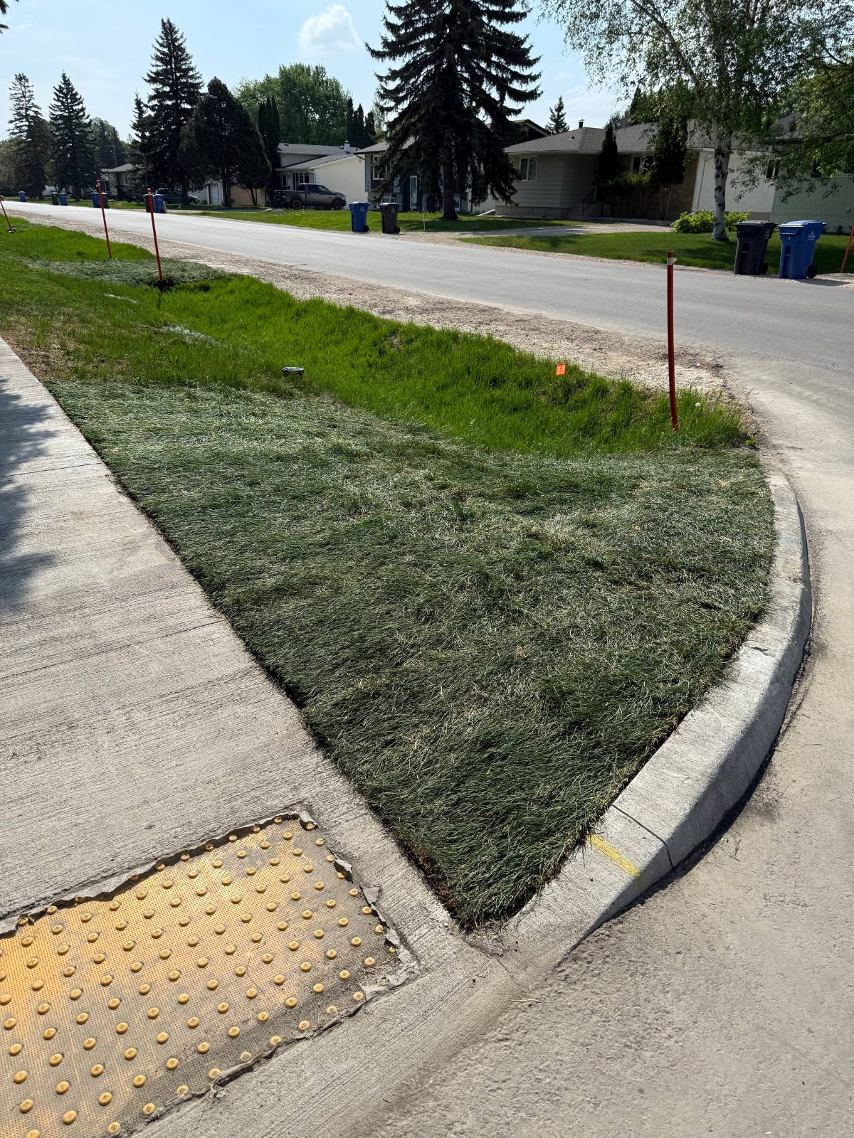 After: Landscaping