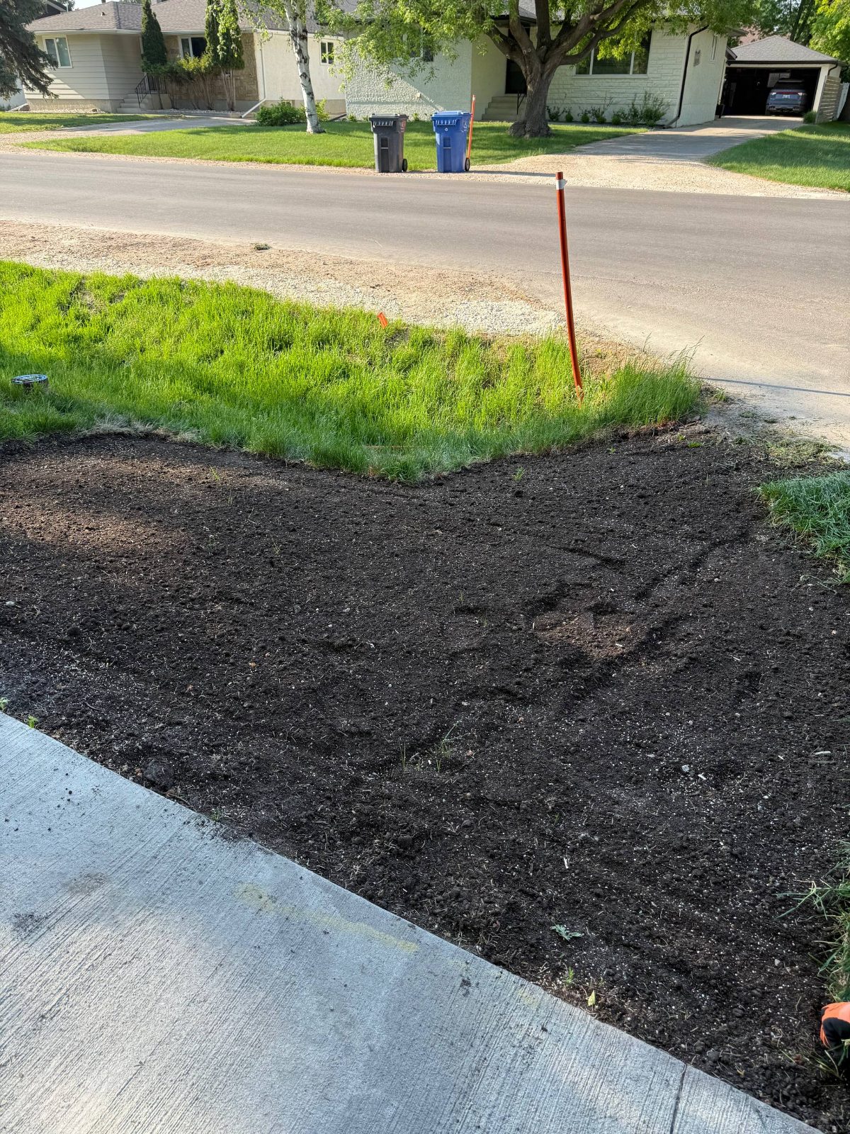 Before: Landscaping