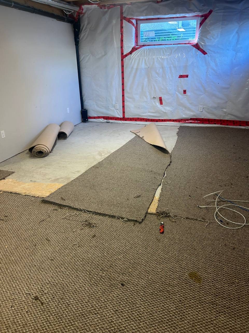 Before: Carpet removal
