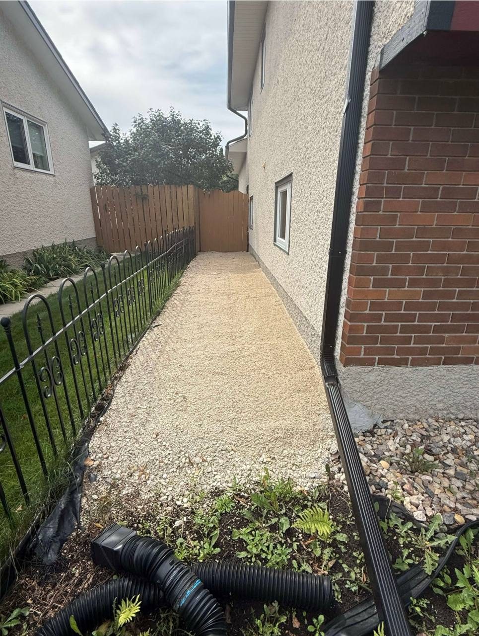 Before: Landscaping