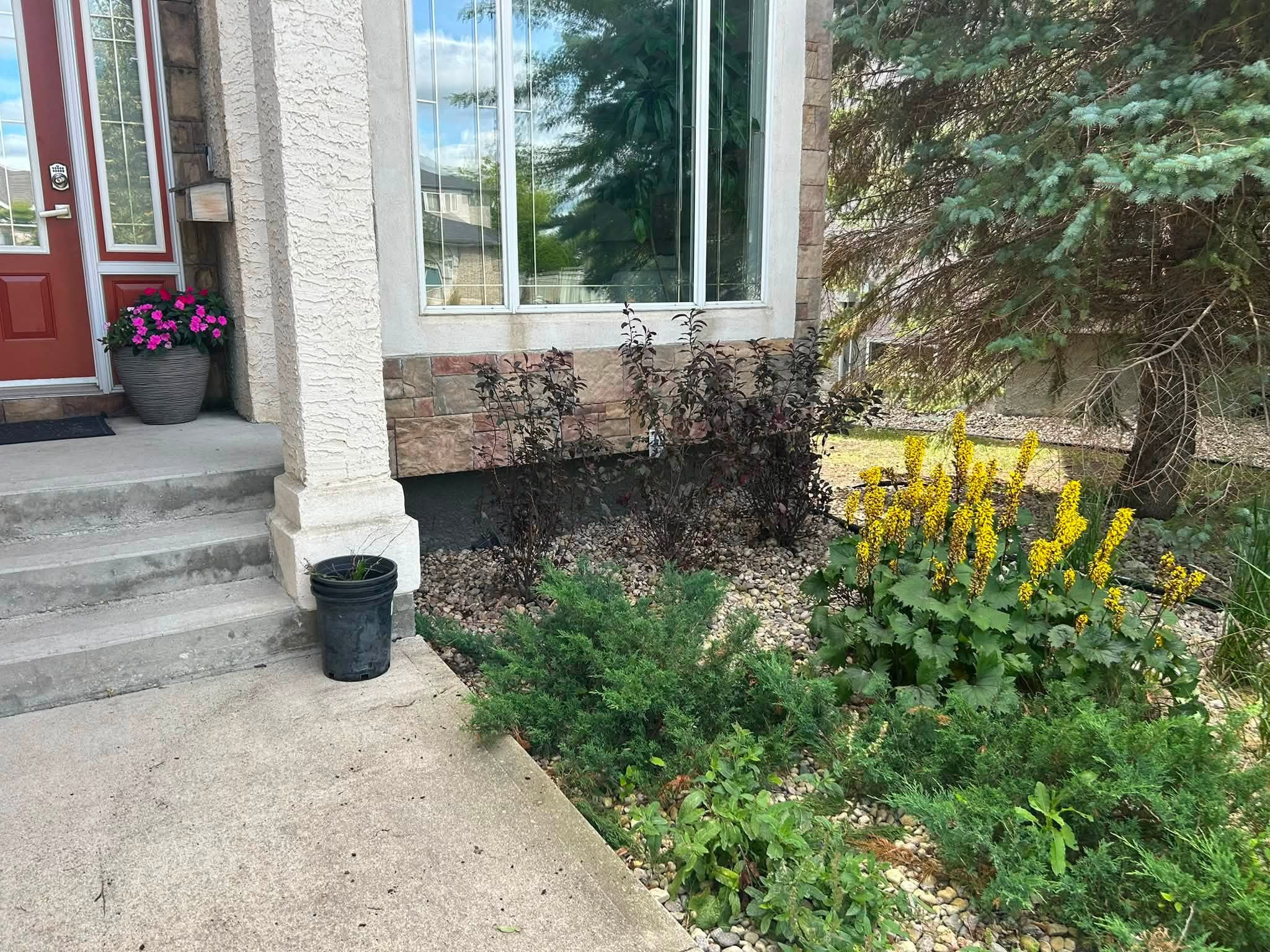 After: Front bed planting